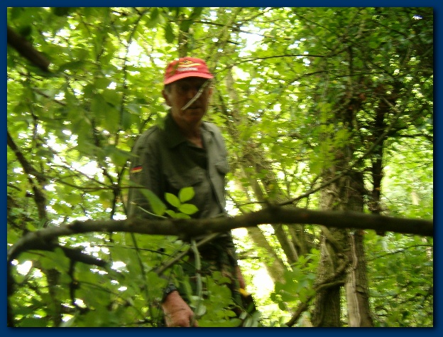 600x449 pixels (172K)